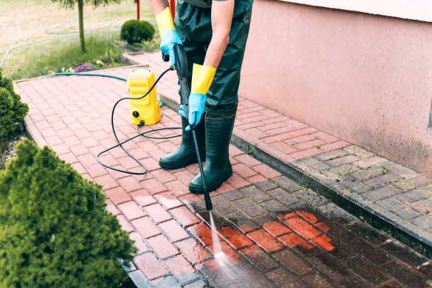 Best Animal Enclosure Cleaning  in Archer City, TX